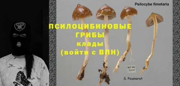 стаф Абаза