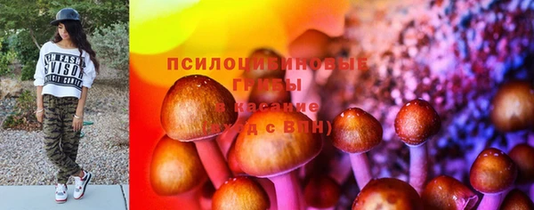 бошки Абинск