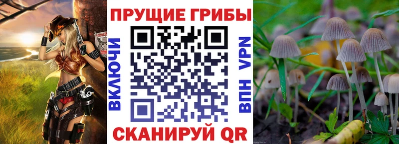 наркота  Галич  кракен tor  Галлюциногенные грибы MAGIC MUSHROOMS 